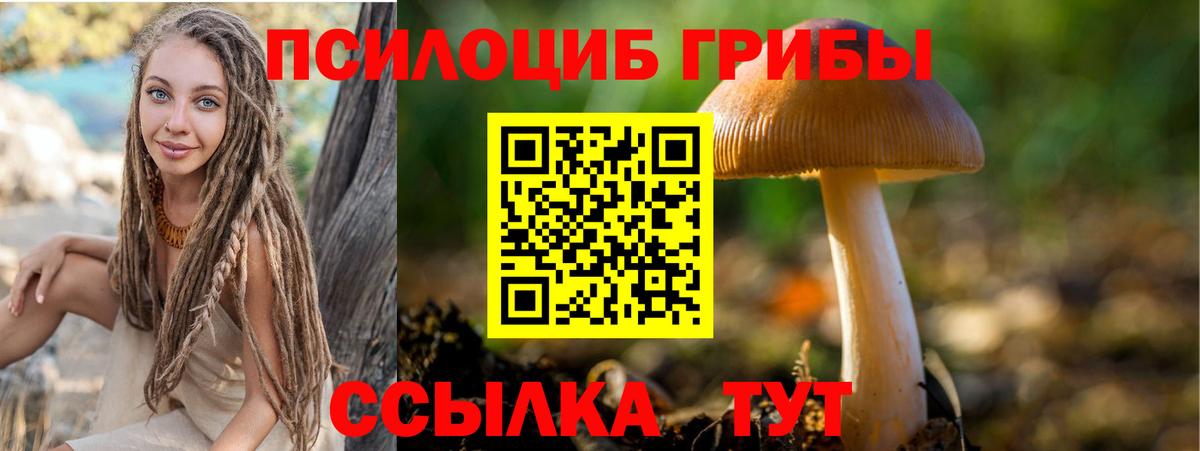 Галлюциногенные грибы ЛСД Партизанск